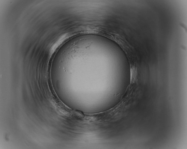 X0000101210195200807111041