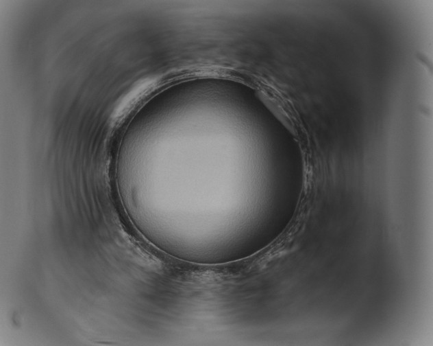 X0000101210197200807111041