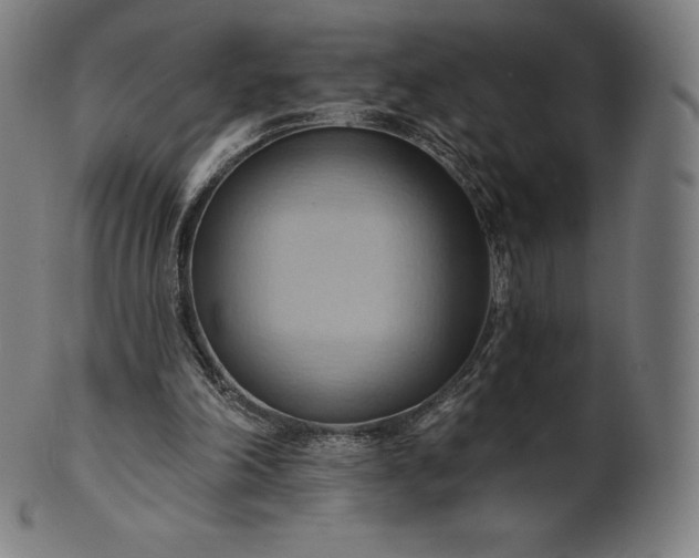 X0000101210198200807111041