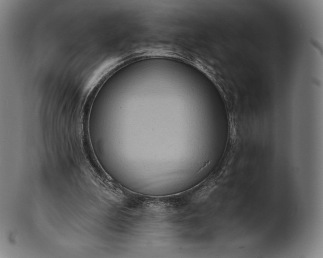 X0000101210199200807111041