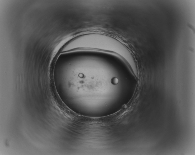 X0000101210200200807111041