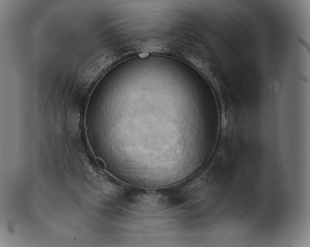 X0000101210201200807111041