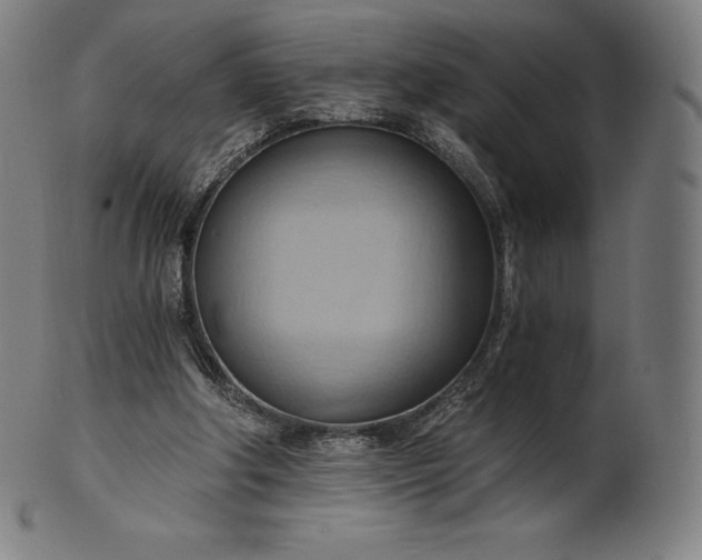 X0000101210202200807111041