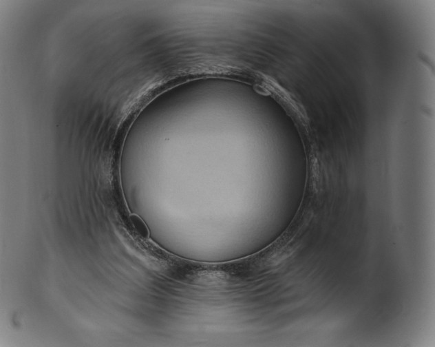 X0000101210203200807111041