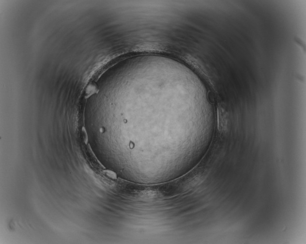 X0000101210204200807111041