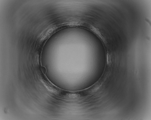 X0000101210205200807111041