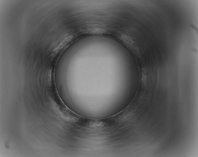 X0000101210206200807111041