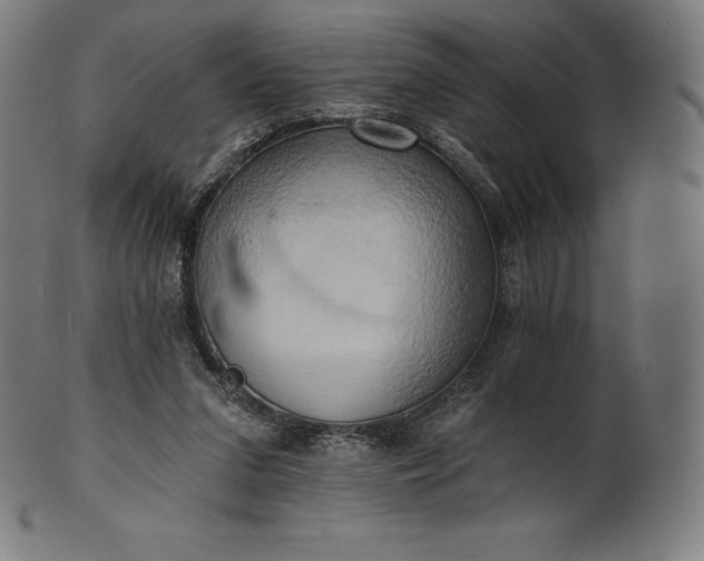 X0000101210207200807111041