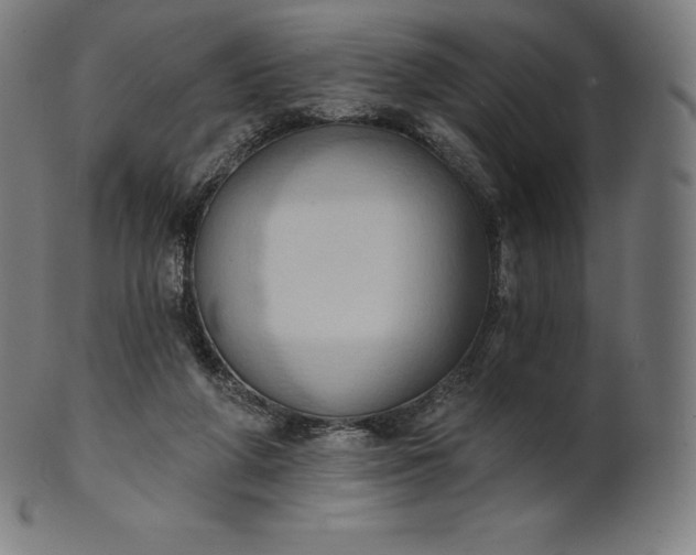 X0000101210210200807111041