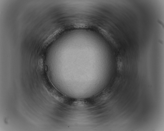 X0000101210211200807111041