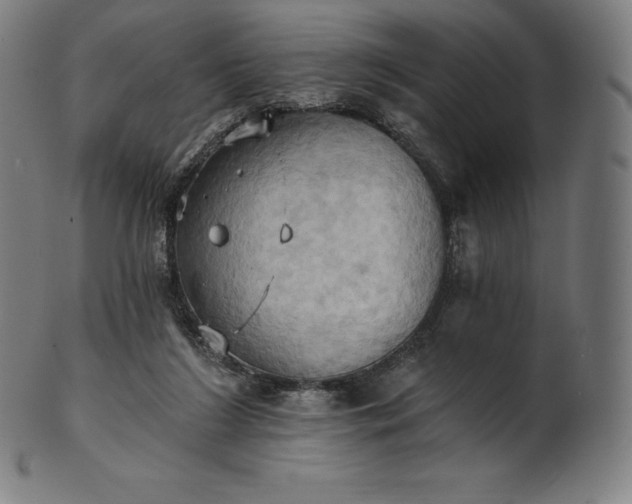 X0000101210212200807111041