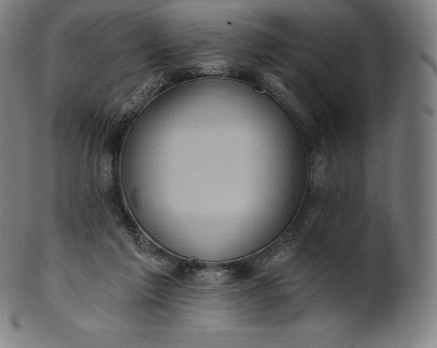 X0000101210213200807111041