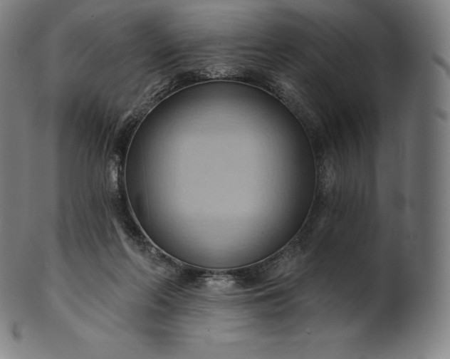 X0000101210214200807111041