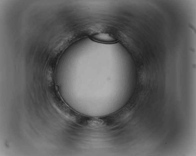 X0000101210215200807111041