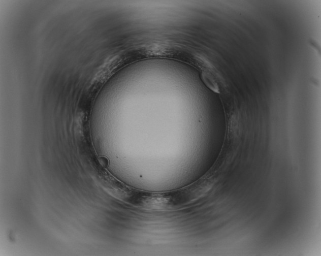 X0000101210217200807111041