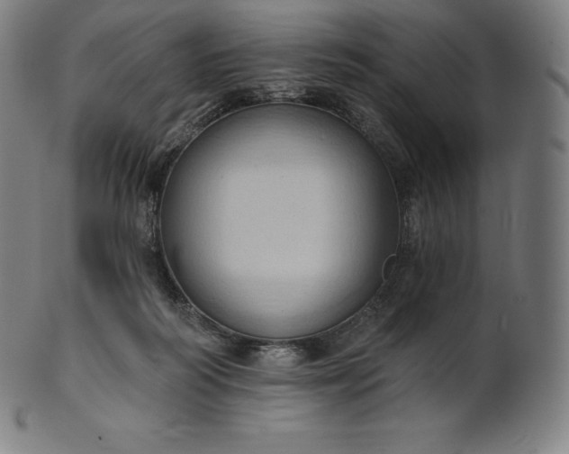 X0000101210218200807111041