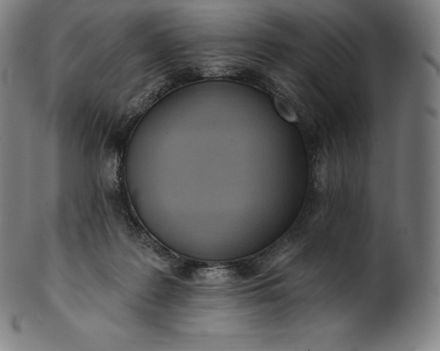 X0000101210219200807111040