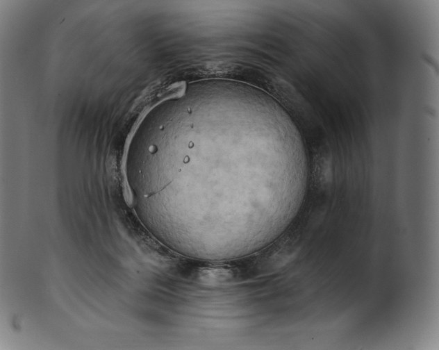 X0000101210220200807111040