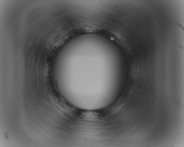 X0000101210221200807111040