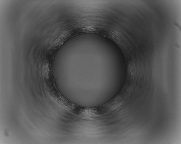 X0000101210223200807111040