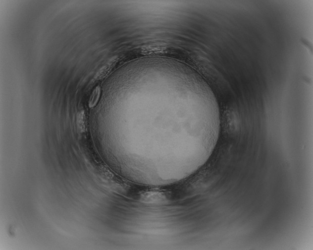 X0000101210224200807111040