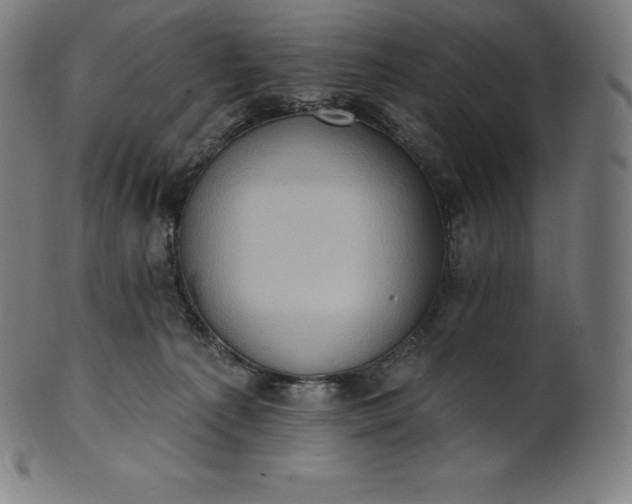 X0000101210225200807111040