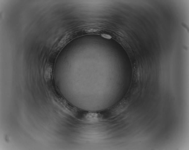 X0000101210227200807111040