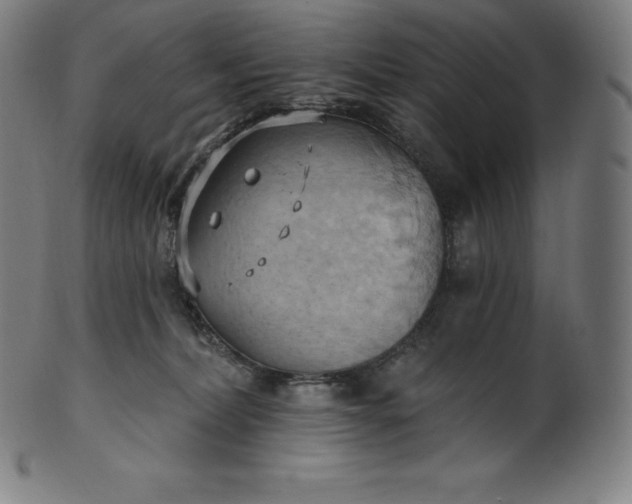 X0000101210228200807111040