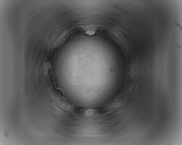 X0000101210229200807111040