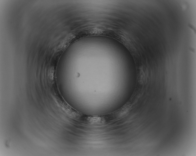 X0000101210230200807111040