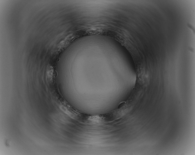 X0000101210231200807111040