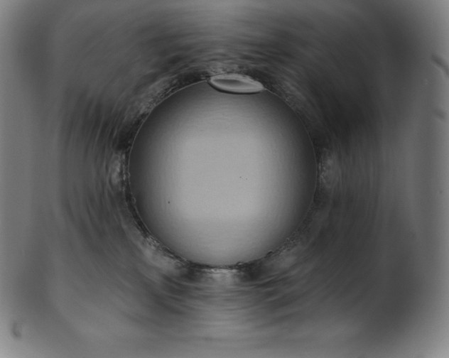 X0000101210233200807111040