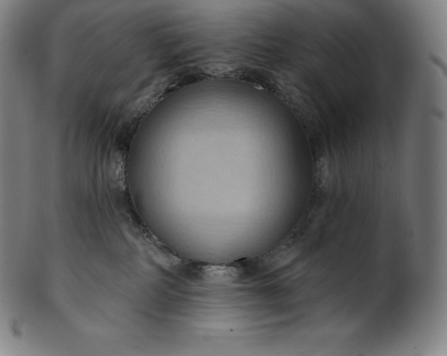 X0000101210234200807111040