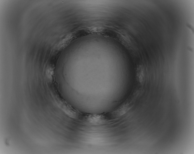 X0000101210235200807111040