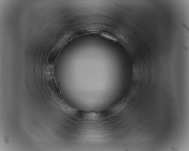 X0000101210237200807111040