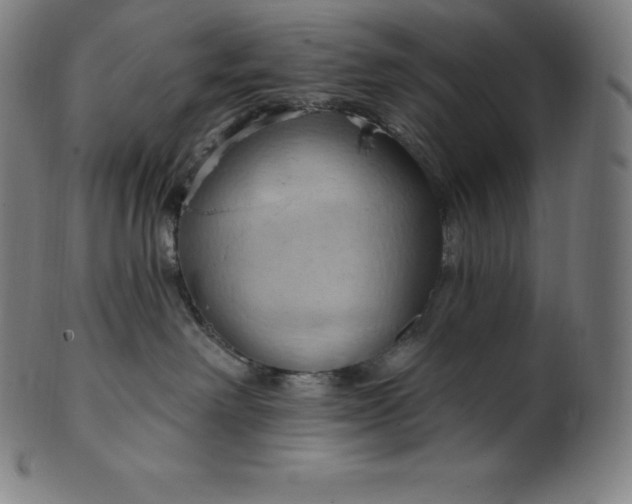 X0000101210238200807111040