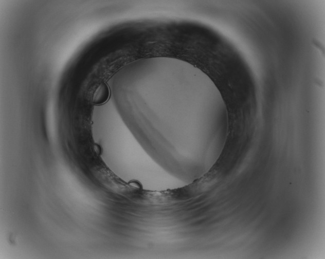 X0000101210239200807111040