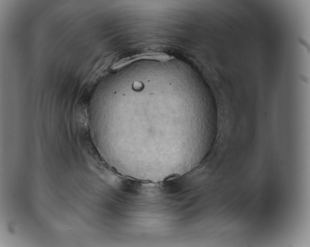 X0000101210240200807111040