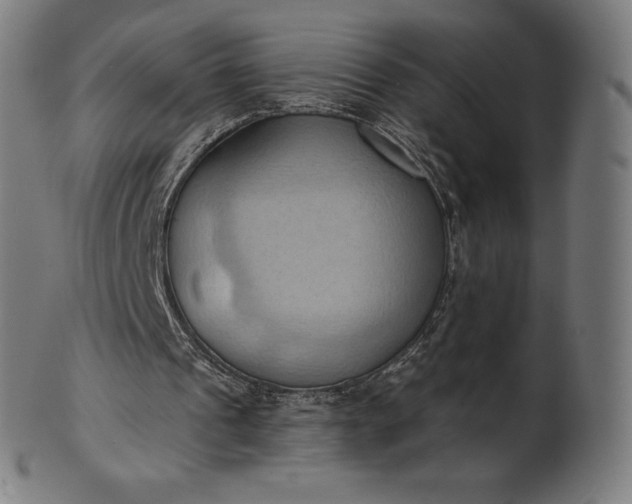 X0000101210241200807111040