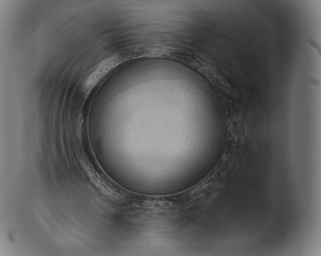 X0000101210242200807111040