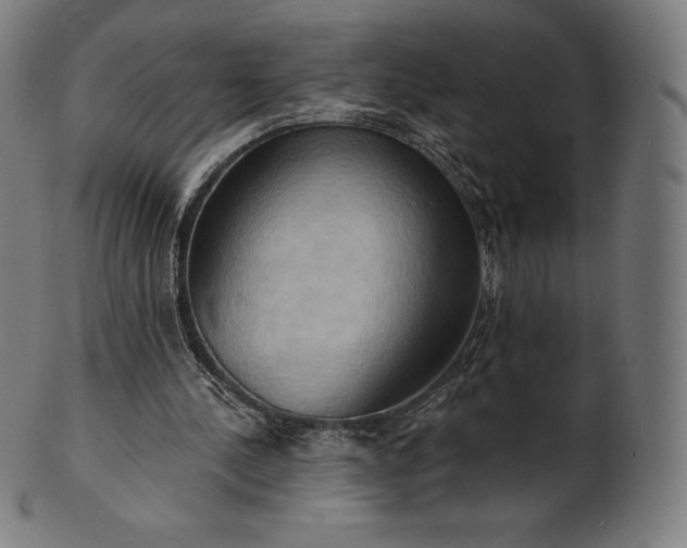 X0000101210244200807111040