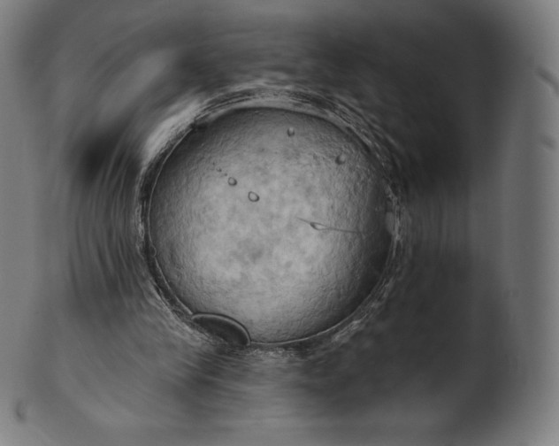 X0000101210245200807111040