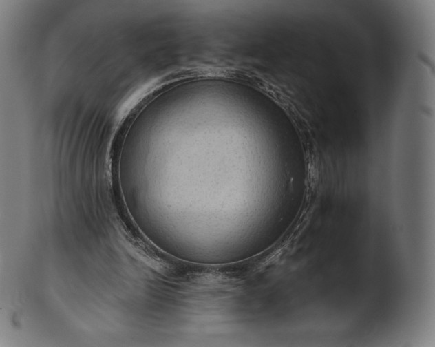 X0000101210246200807111040