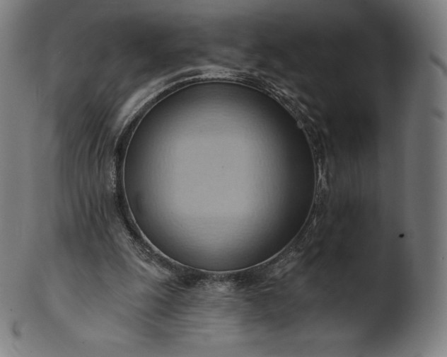 X0000101210247200807111040