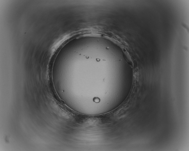 X0000101210248200807111040