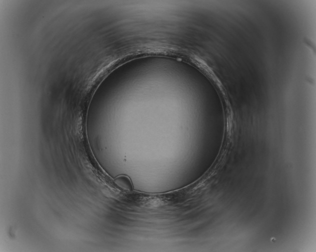 X0000101210249200807111040