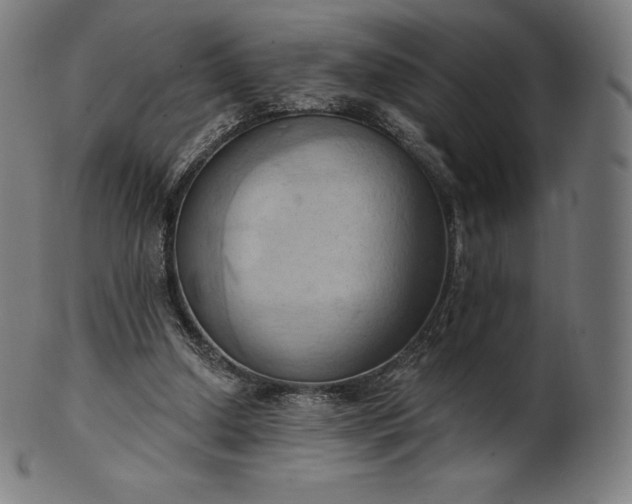 X0000101210250200807111040