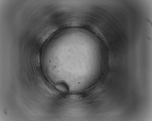 X0000101210251200807111040