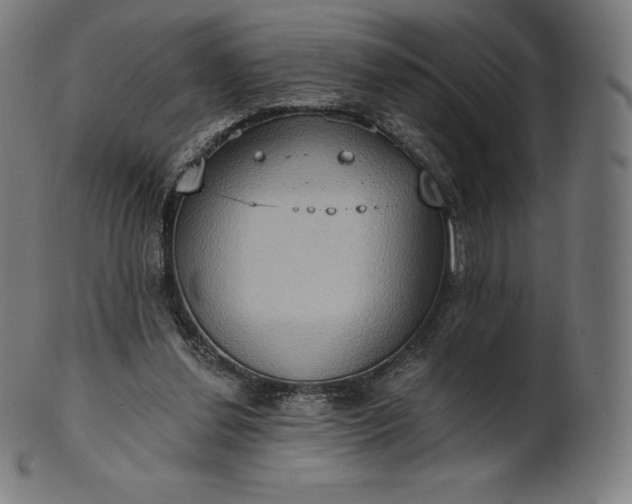 X0000101210252200807111040