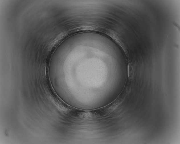 X0000101210253200807111040